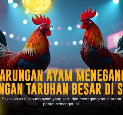 Odds Sabung Ayam SV388: Cara Tepat Menang Taruhan