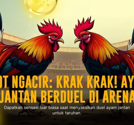 Mengenal Ayam Bangkok: Raja Sabung Ayam Modern