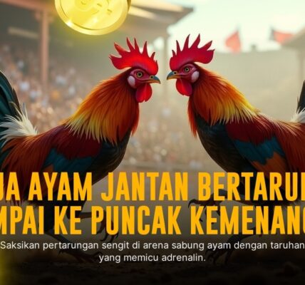 Mengenal Ayam Bangkok: Raja Sabung Ayam di SV388