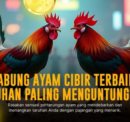 Mengulik Sabung Ayam Sv388: Tradisi dan Peluang Menarik