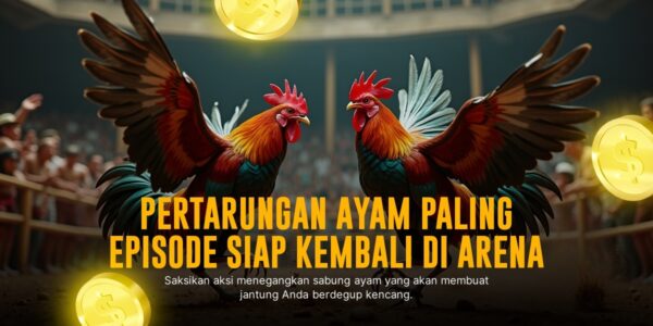 Menelusuri Dunia Sabung Ayam Dengan Platform SV388