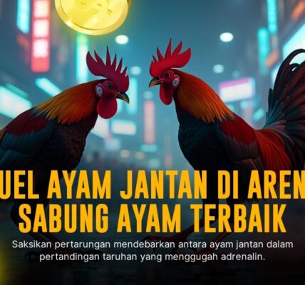 Menelisik Ayam Bangkok: Raja Sabung Ayam Modern