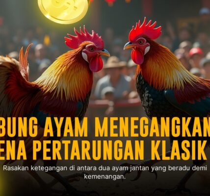 Mengenal Ayam Bangkok: Raja Sabung Ayam yang Memikat